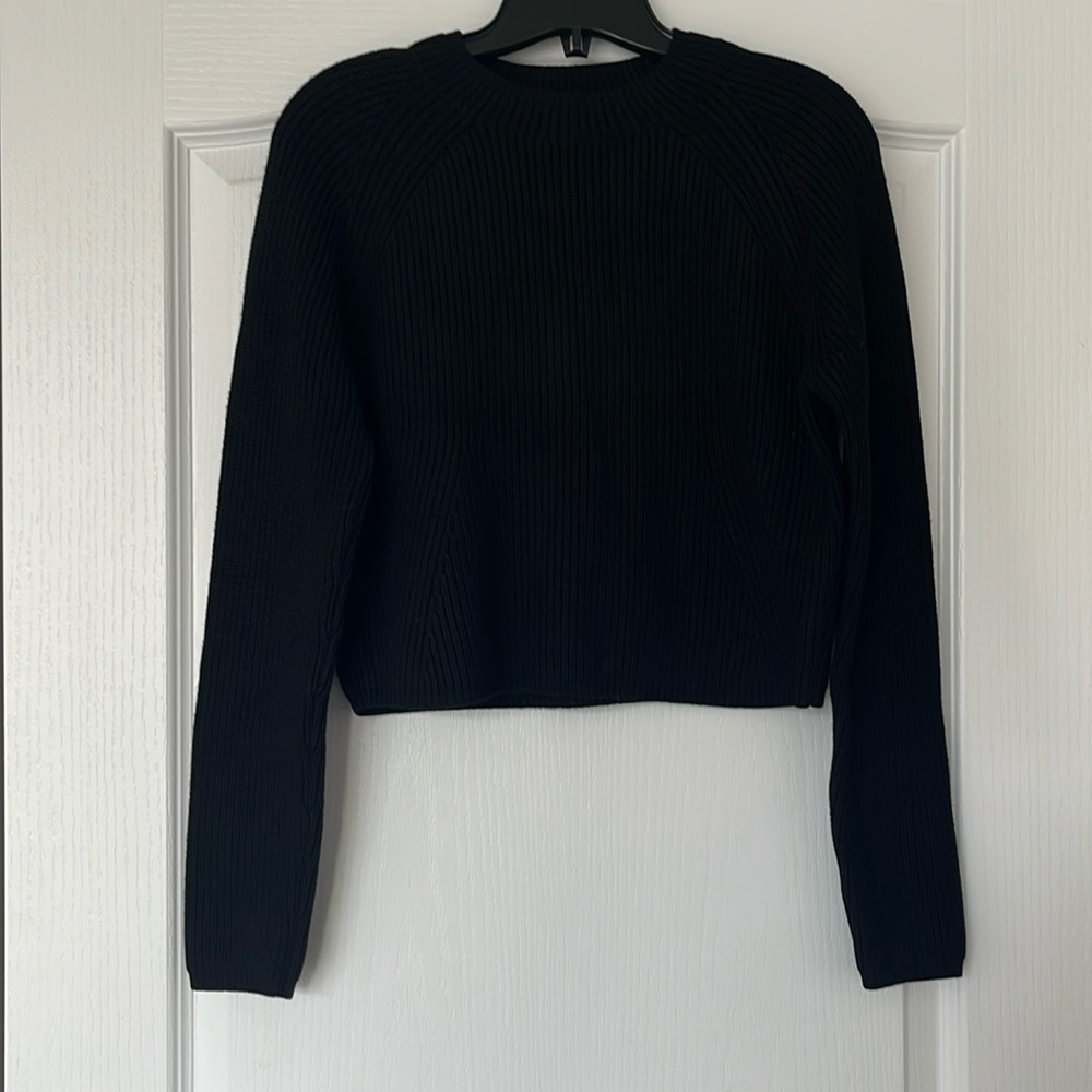 Club Monaco cropped crew neck knit sweater
